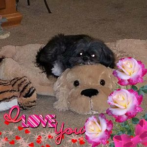 Meet your Posher, Sharon